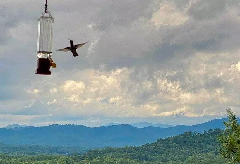 Picturesque Murphy Cabin W/ Fire Pit & Views!