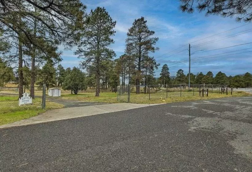 Ski Snow Bowl & Hike: Cozy Flagstaff Cottage!