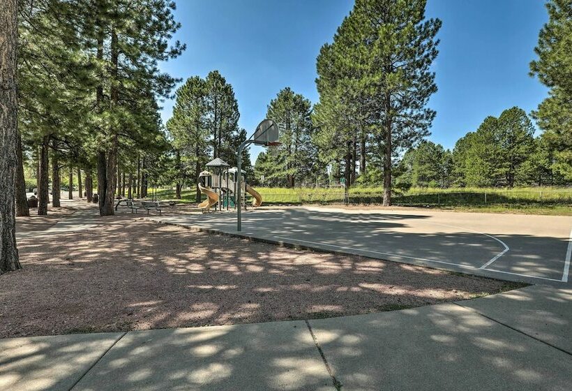 Contemporary Flagstaff Retreat W/ Ponderosas!