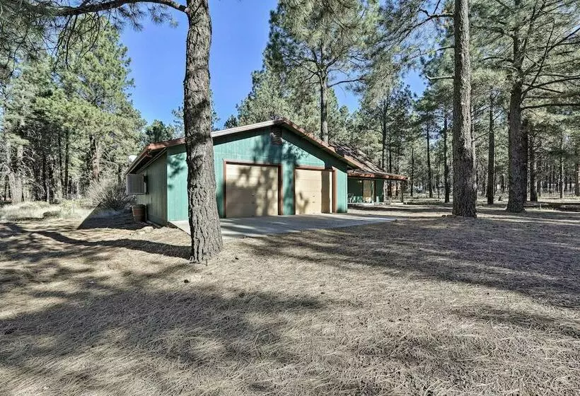 Family Friendly Forested Home W/ Snow Play Area!
