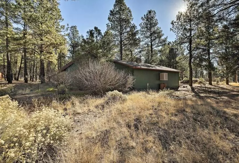 Family Friendly Forested Home W/ Snow Play Area!