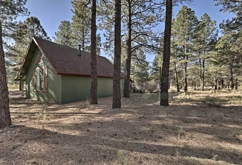 Family Friendly Forested Home W/ Snow Play Area!