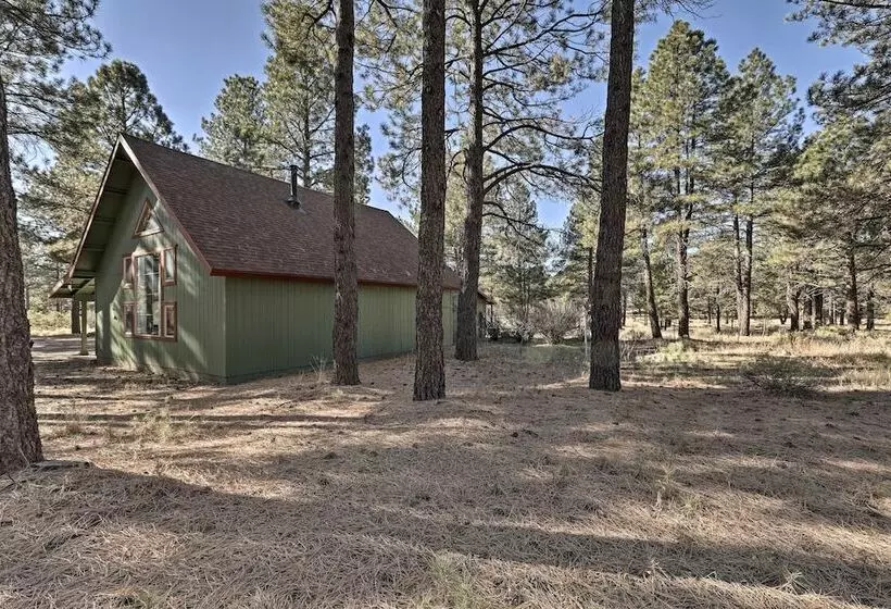 Family Friendly Forested Home W/ Snow Play Area!
