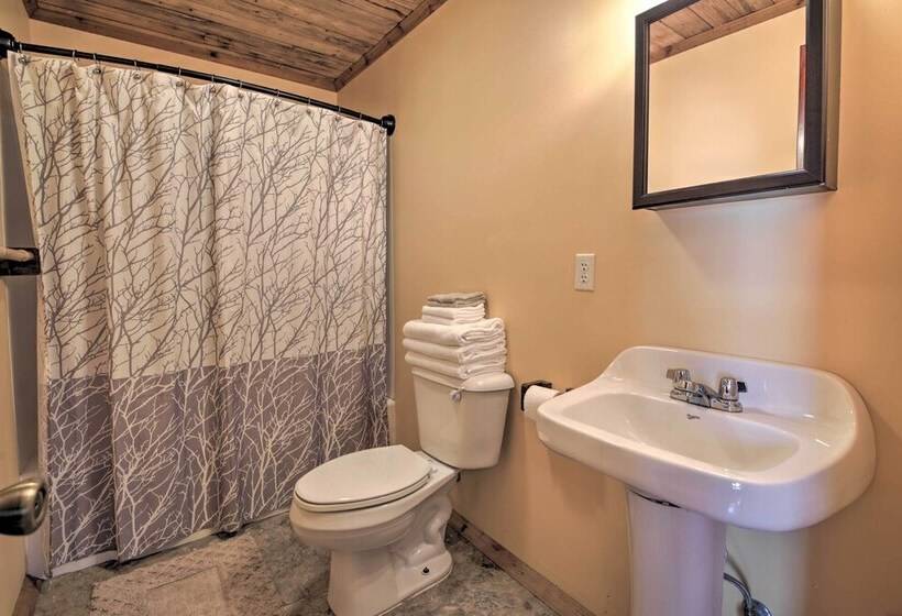 Pet Friendly Cottage W/ Fire Pit   3 Mi To Siu!
