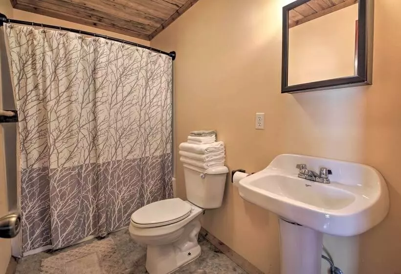 Pet Friendly Cottage W/ Fire Pit   3 Mi To Siu!