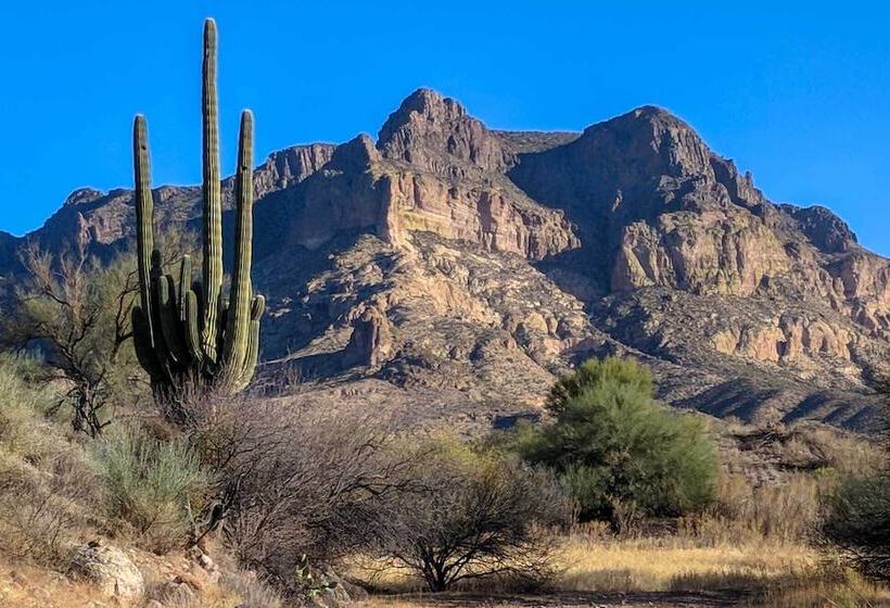 Charming Miami Desert Escape W/ Yard + Patio!