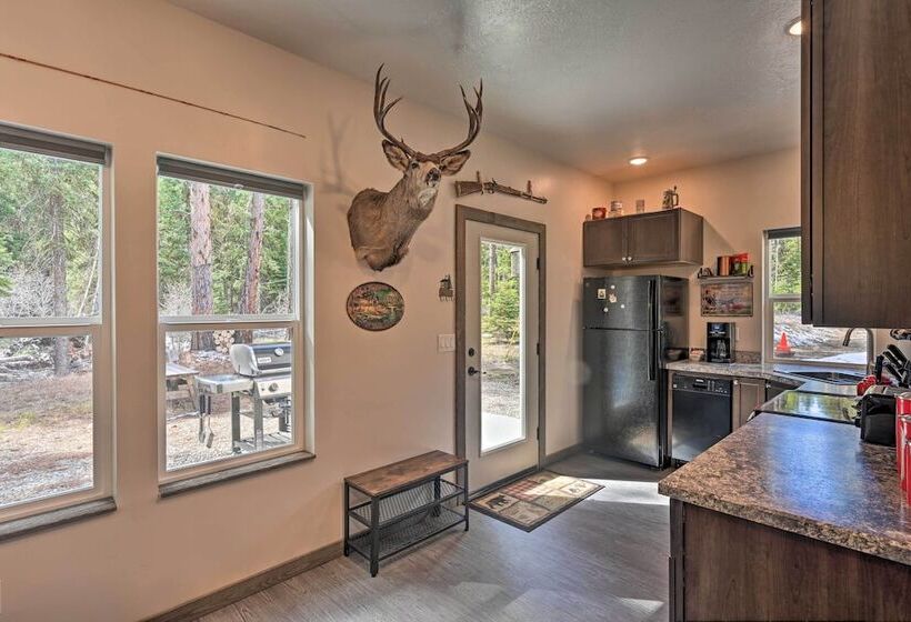 Darby Cabin In National Forest: Walk To River!