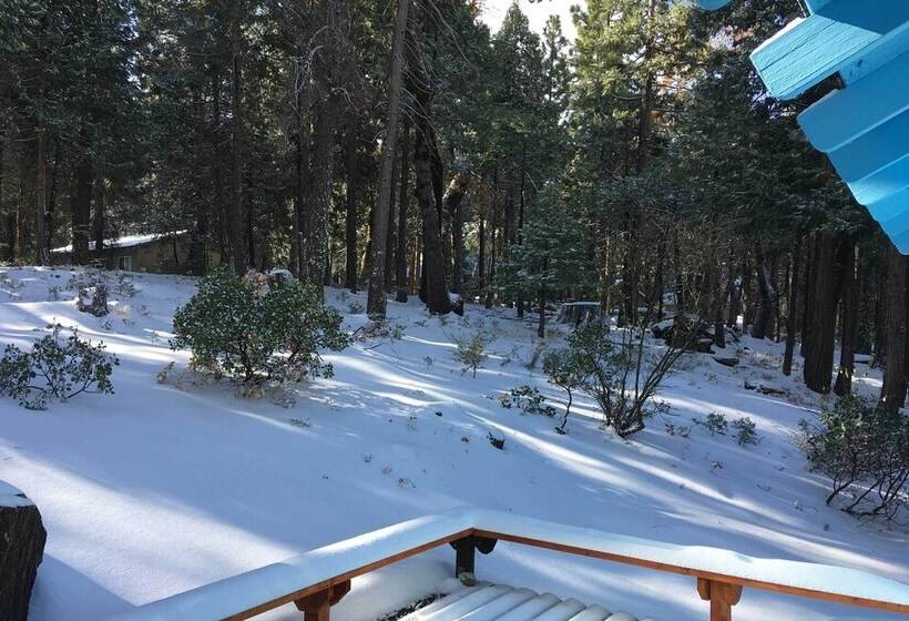 Peaceful Camp Connell Cabin W/ Community Pool