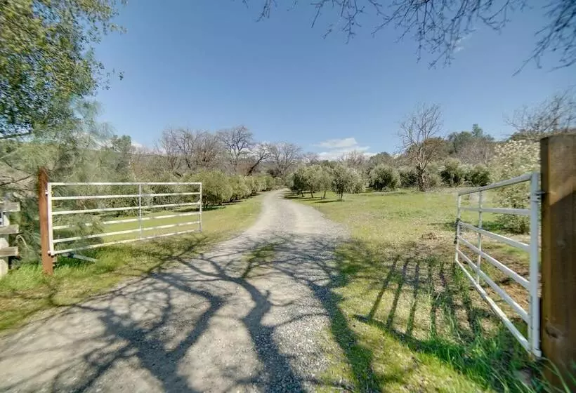 Pet Friendly Clearlake Oaks Vacation Home W/ Pool!