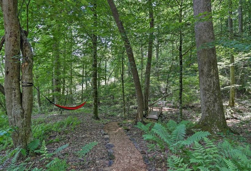 Tranquil Murphy Cabin W/ Swim Dock + Fire Pit