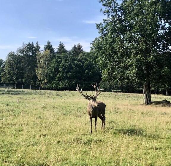 호텔 Landhaus Sollingshöhe
