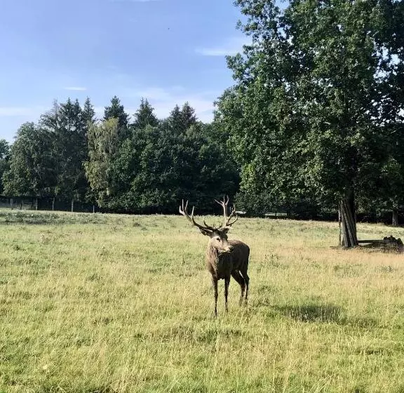Hotelli Landhaus Sollingshöhe