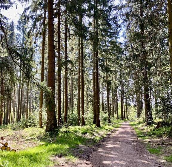 호텔 Landhaus Sollingshöhe