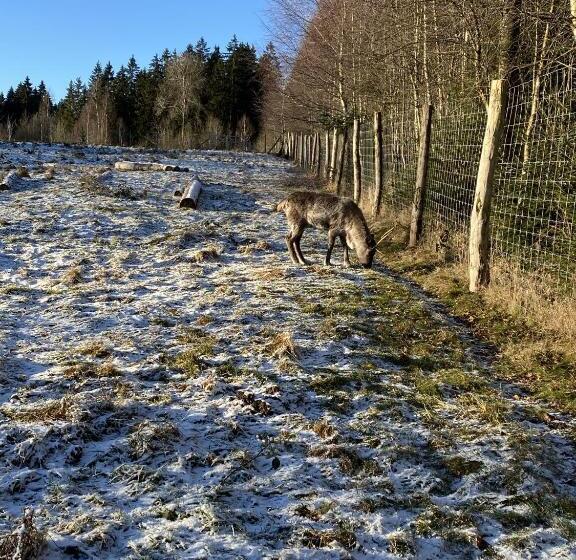 호텔 Landhaus Sollingshöhe