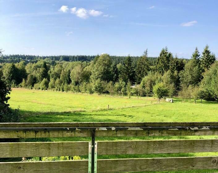 호텔 Landhaus Sollingshöhe