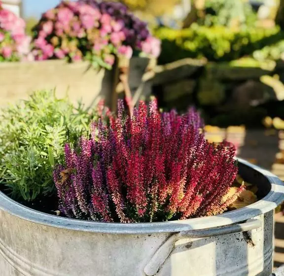 Hotelli Landhaus Sollingshöhe