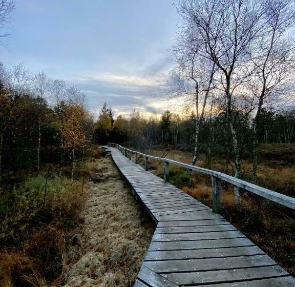 호텔 Landhaus Sollingshöhe