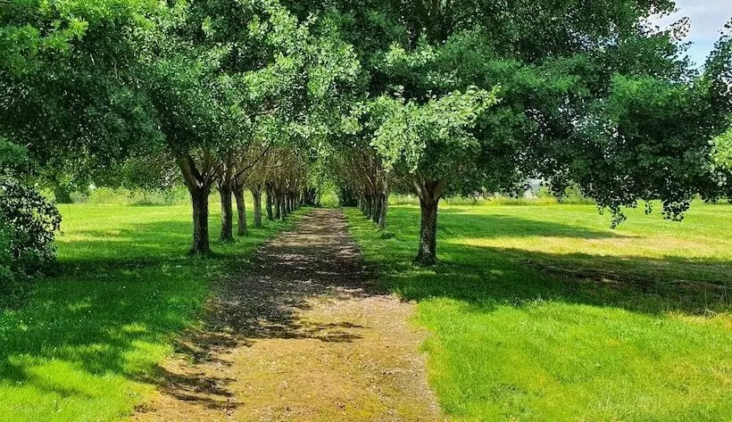 ペンション La Petite Clavelie Gîte Périgord Vert