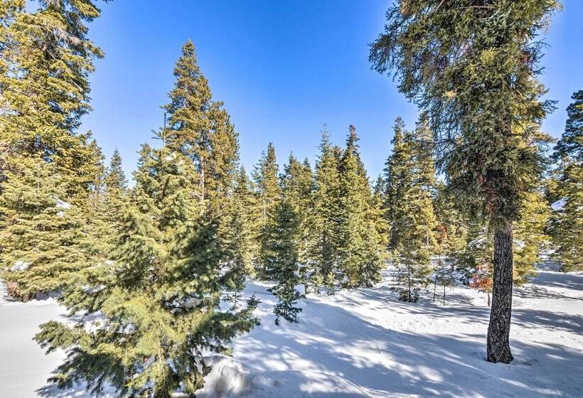 Unique Forest Cabin With Deck: Ski, Hike, Fish!