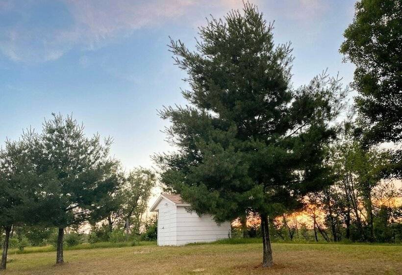 Secluded Arkdale Retreat: 10 Acres W/ Deck!