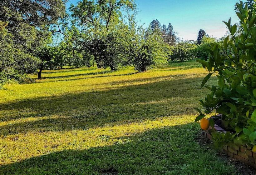 Converted Barn In Sebastopol W/ Private Patio!