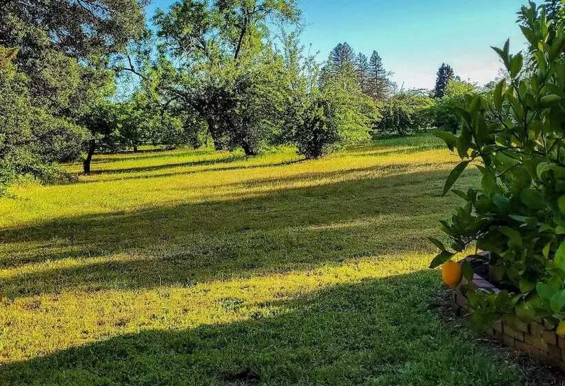 Converted Barn In Sebastopol W/ Private Patio!