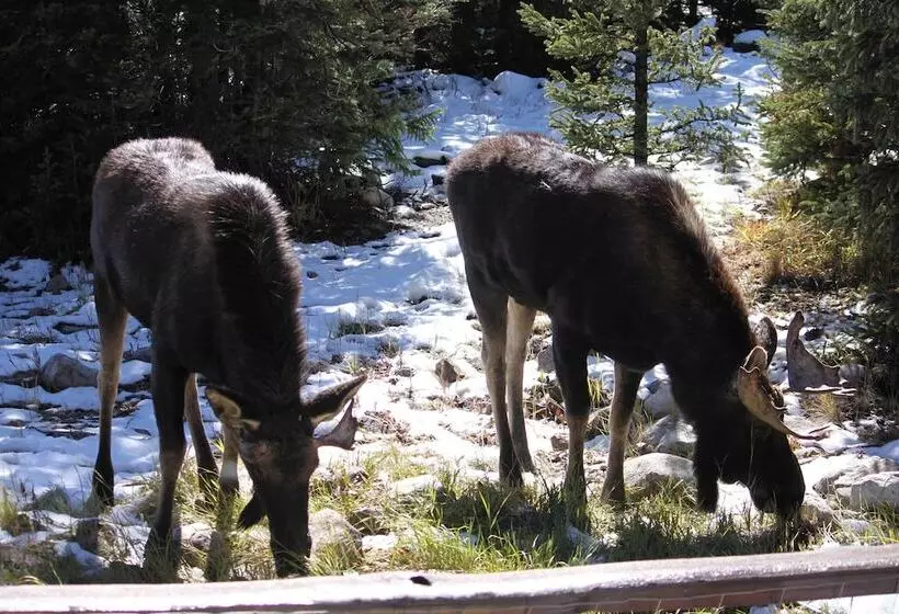 Fairplay Cabin W/ Mountain Views ~ 25 Mi To Breck!