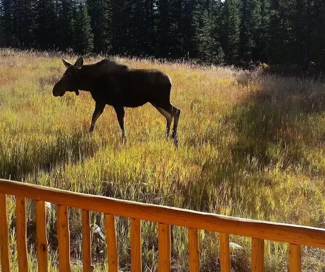 Fairplay Cabin W/ Mountain Views ~ 25 Mi To Breck!