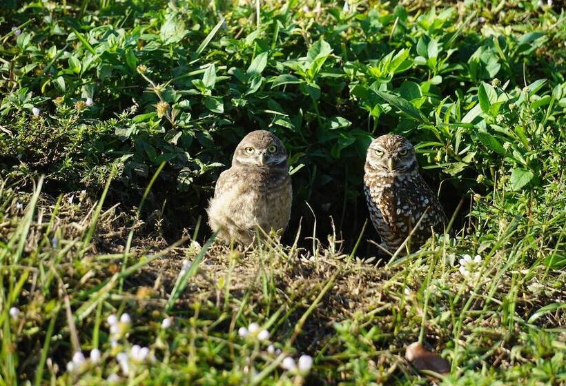 Gorgeous Cape Coral Duplex Home W/ Modern Interior
