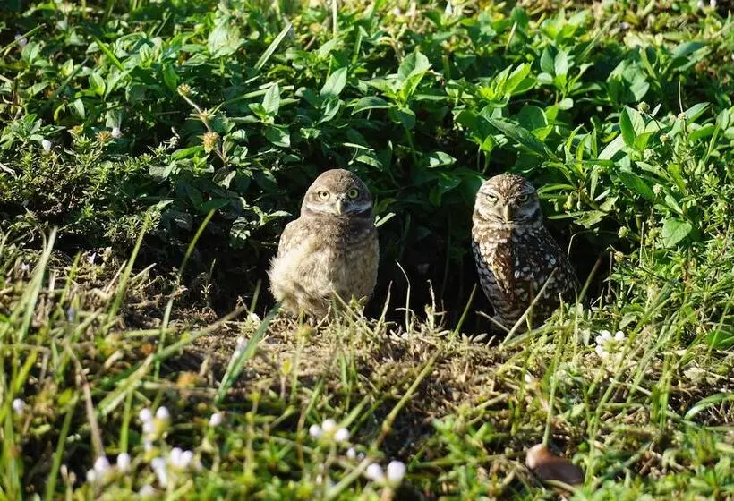 Gorgeous Cape Coral Duplex Home W/ Modern Interior