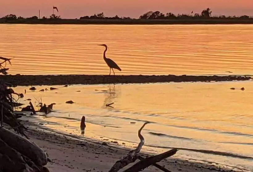Island Home W/ Kayaks, Bikes, & Paddleboards!