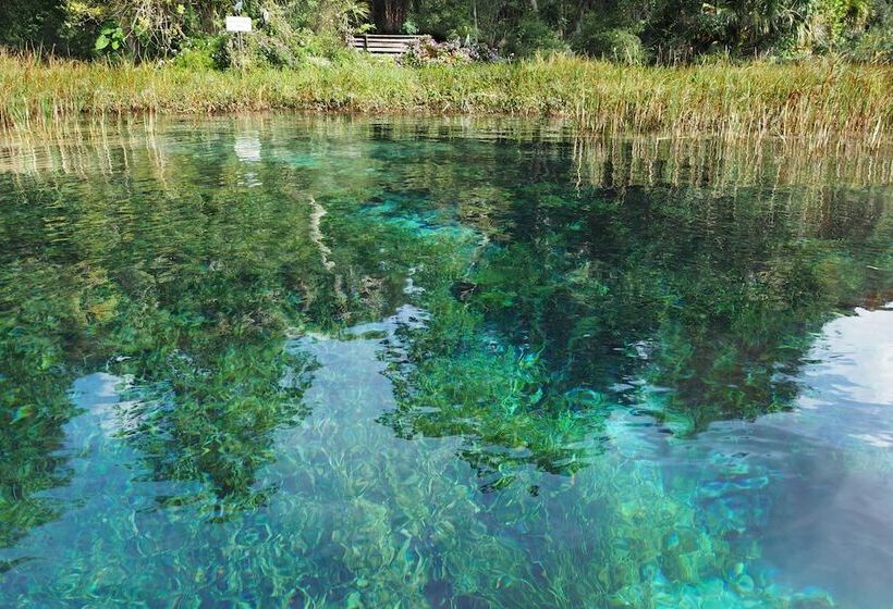 Rainbow River Home W/ Private Kayak Dock