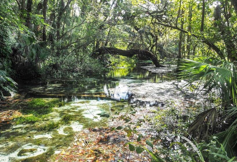 Rainbow River Home W/ Private Kayak Dock