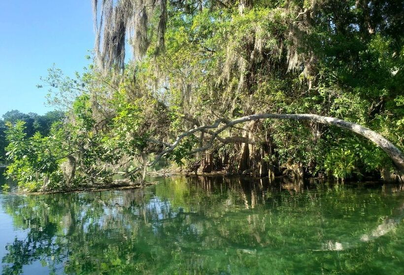 Rainbow River Home W/ Private Kayak Dock