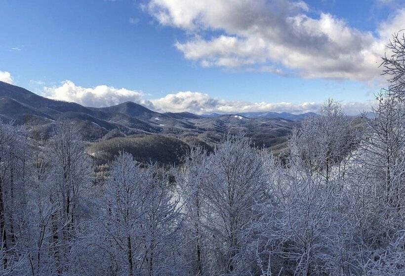 Cabin W/ Bbq + Games Walk To Blue Ridge Parkway!