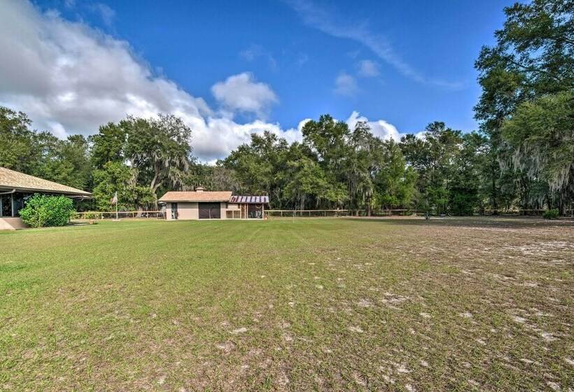 Charming Lake Panasoffkee Abode On 2 Acres!