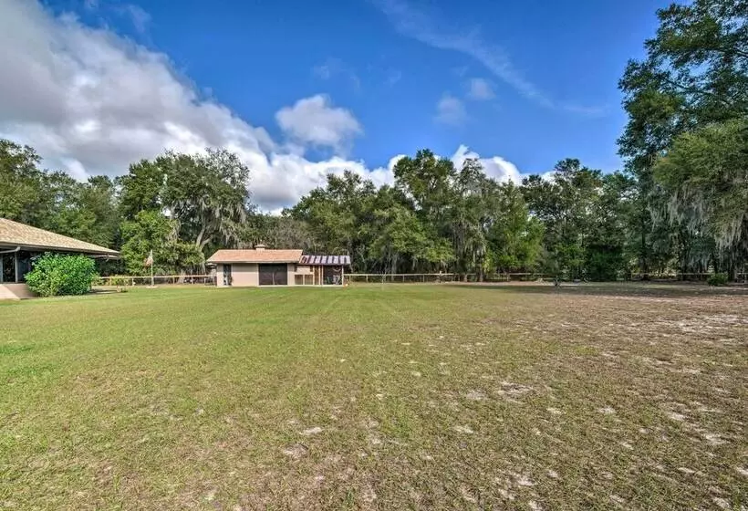 Charming Lake Panasoffkee Abode On 2 Acres!