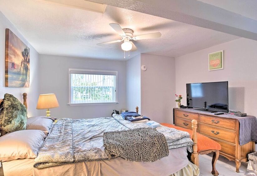 Quaint Jungle Hideaway Near Downtown St. Pete