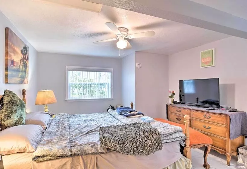 Quaint Jungle Hideaway Near Downtown St. Pete