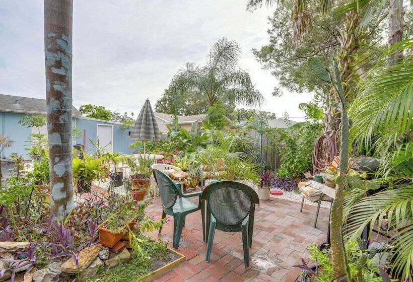 Quaint Jungle Hideaway Near Downtown St. Pete