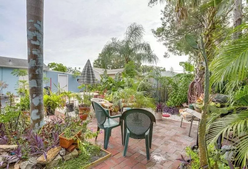 Quaint Jungle Hideaway Near Downtown St. Pete