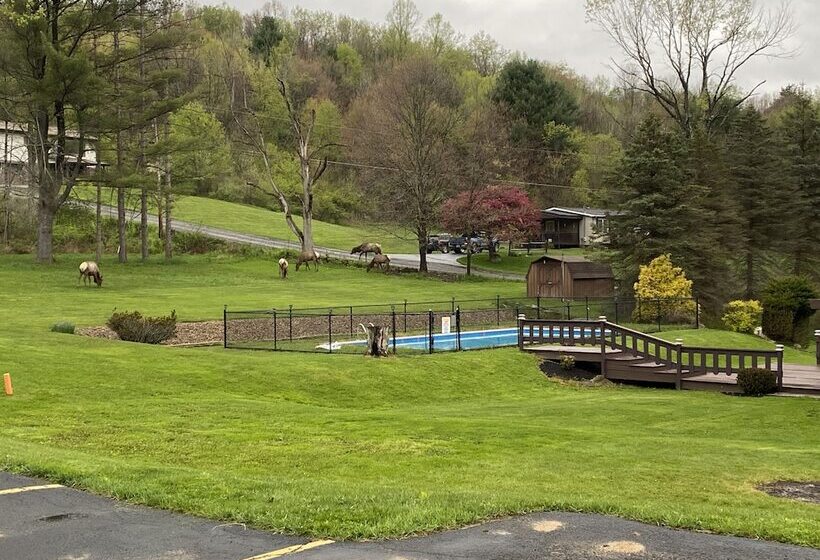 酒店 Bennetts Valley Elk Country Inn
