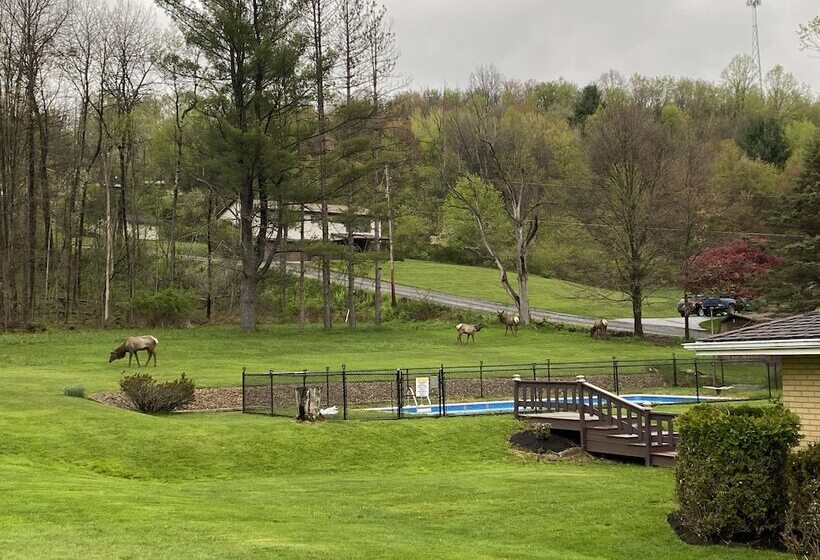 酒店 Bennetts Valley Elk Country Inn