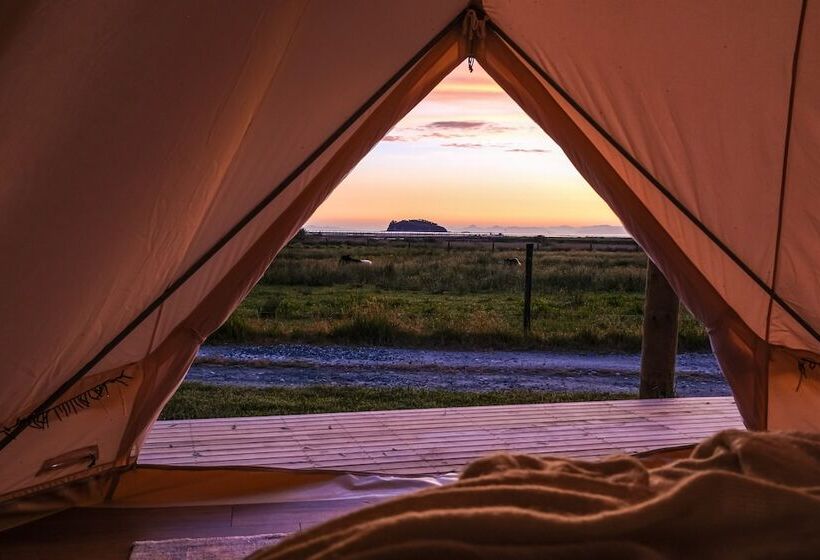 ユースホステル The Barn Cabins & Camp