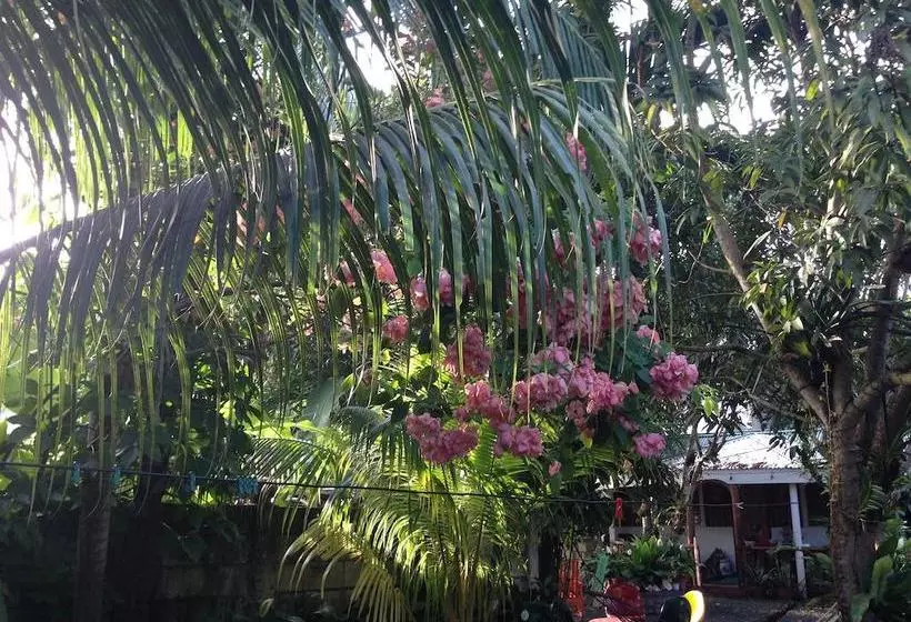 Aamiaismajoitus (B&B) Homestay De Bai