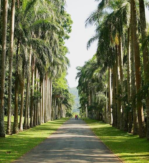 Bed & Breakfast Maya Residence