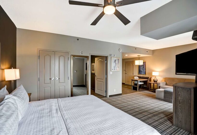 ホテル Homewood Suites By Hilton Nashville Franklin Cool Springs