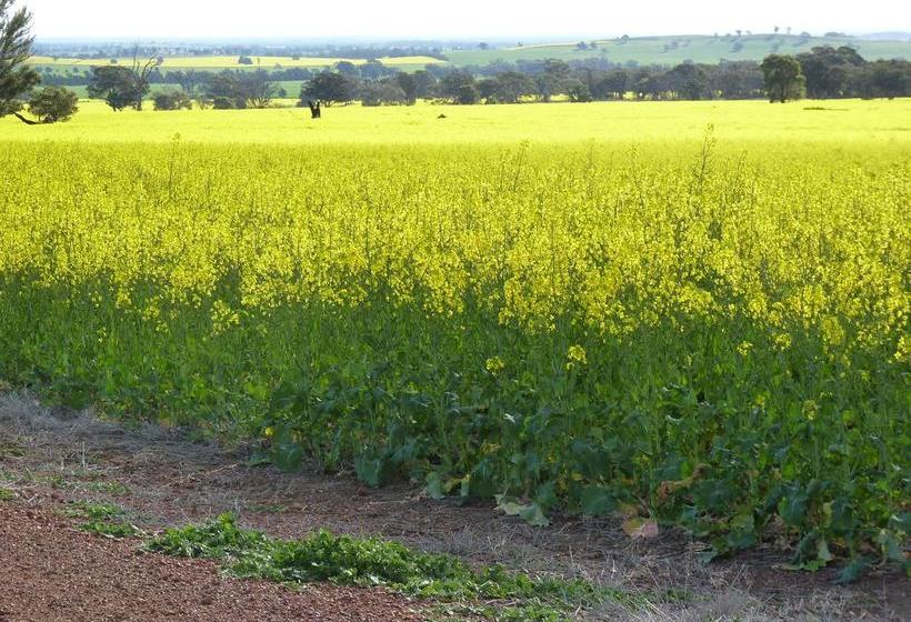 ホテル Kadina Bed Breakfast