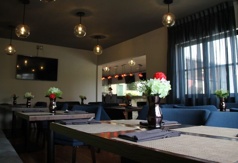 فندق Love It Cas Consulado