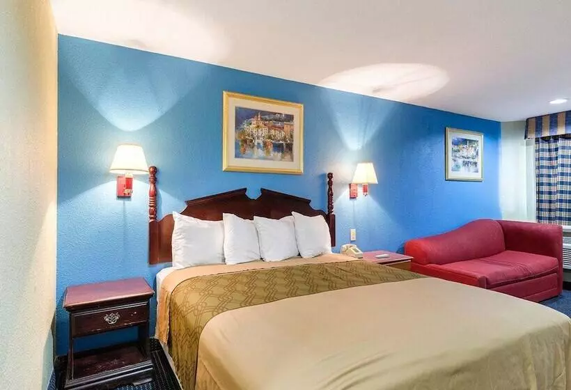ホテル Rodeway Inn
